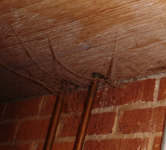 Duct Testing
