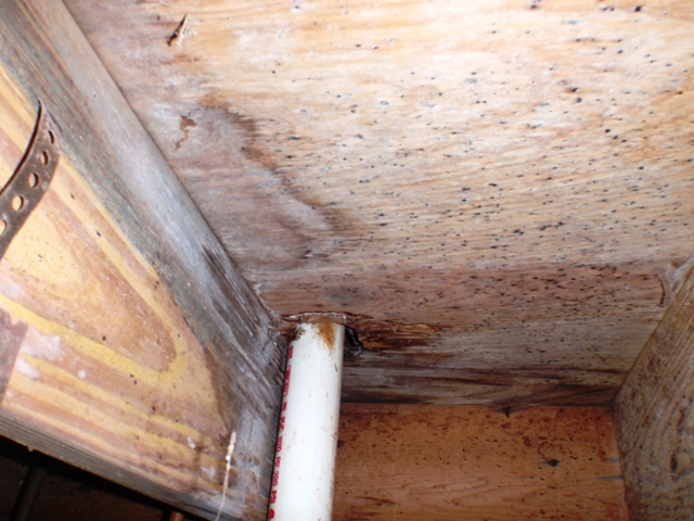 Duct Testing